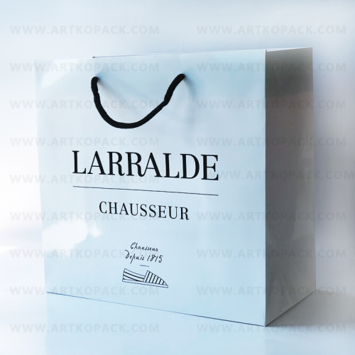 Nice Price Luxury Durable Shopping Portable Paper Bag